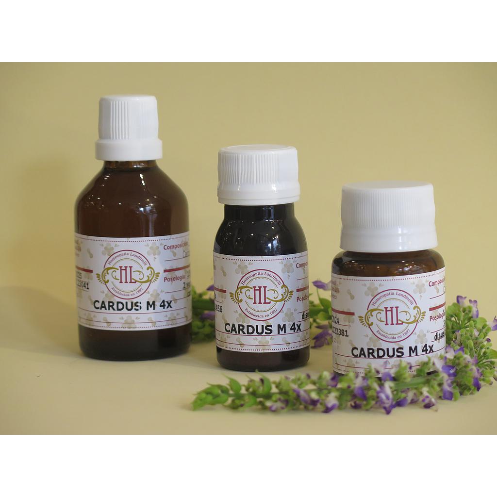 CARDUS M 4x 60cc.